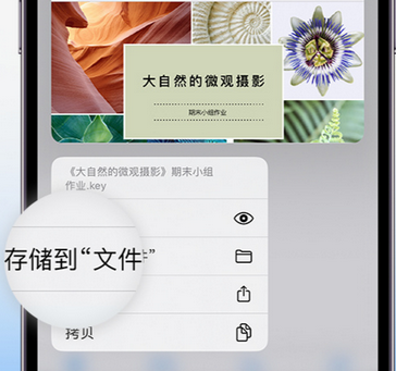 武清apple维修中心分享iPhone文件应用中存储和找到下载文件