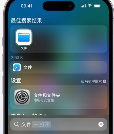 武清apple维修中心分享iPhone文件应用中存储和找到下载文件 