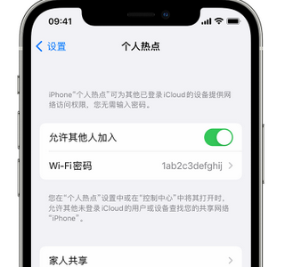 武清apple服务站点分享iPhone上个人热点丢失了怎么办