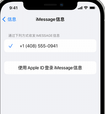 武清apple维修iPhone上无法正常发送iMessage信息 