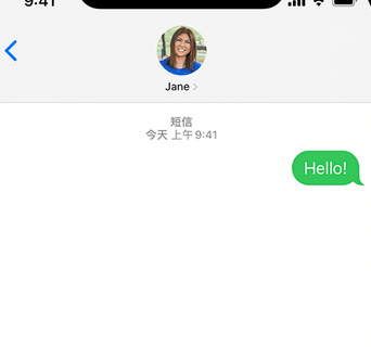 武清apple维修iPhone上无法正常发送iMessage信息