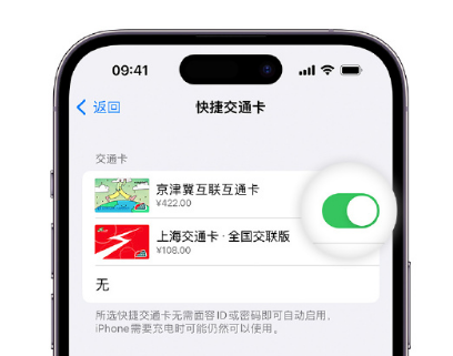 武清apple维修点分享iPhone上更换Apple Pay快捷交通卡手绘卡面 