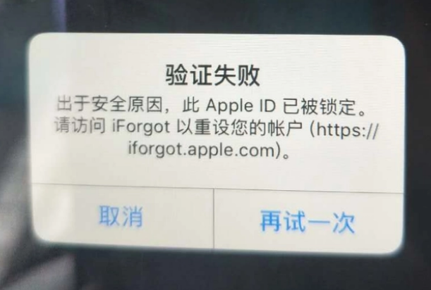 武清iPhone维修分享iPhone上正常登录或使用AppleID怎么办 