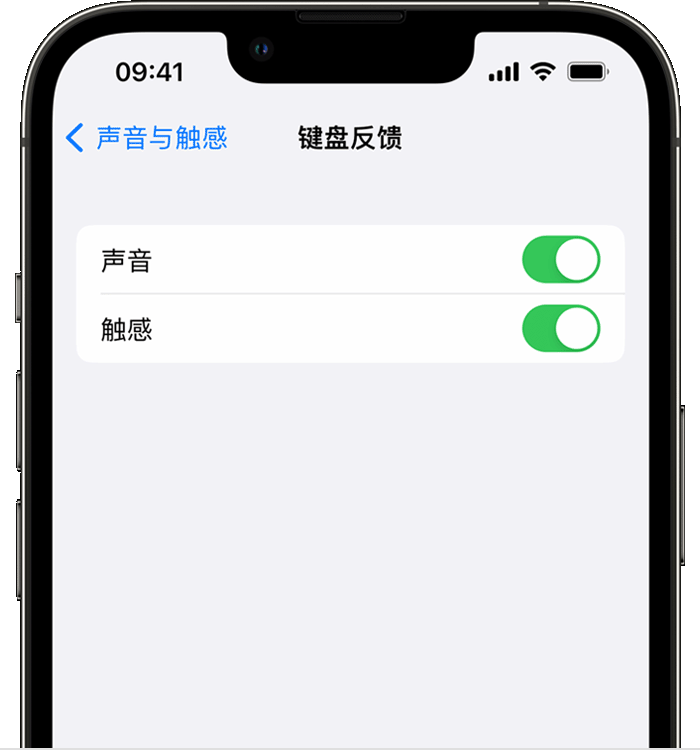 武清苹果14维修店分享如何在 iPhone 14 机型中使用触感键盘 