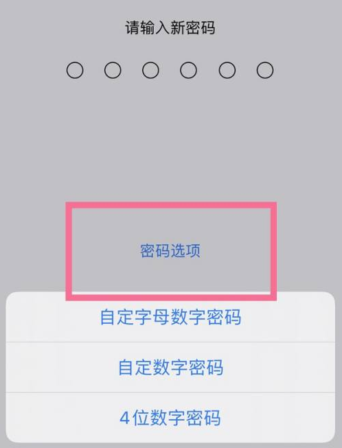 武清苹果14维修分享iPhone 14plus设置密码的方法 