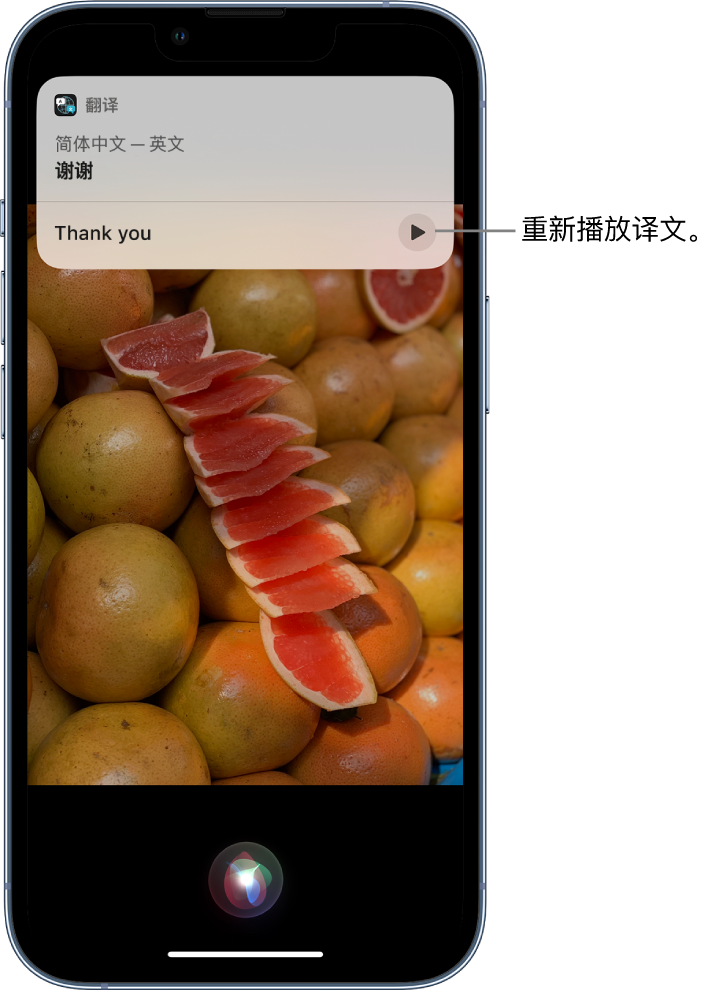 武清苹果14维修分享 iPhone 14 机型中使用 Siri：了解 Siri 能帮你做什么 