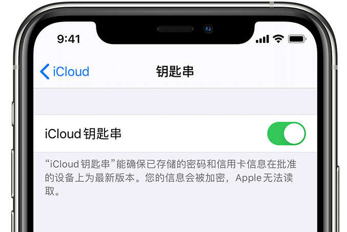 武清苹果手机维修分享在 iPhone 上开启 iCloud 钥匙串之后会储存哪些信息 